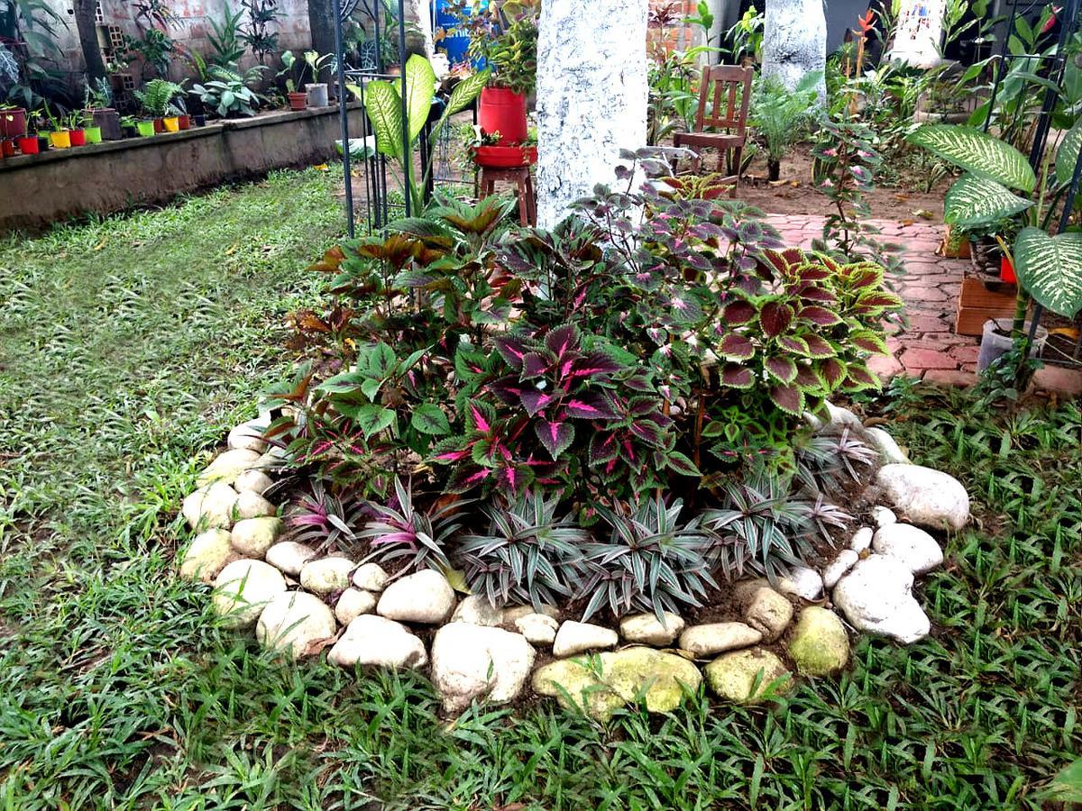 Backpacker Kitara House Hotel Tarapoto Buitenkant foto